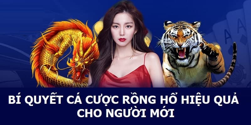 3 mẹo đánh rồng hổ hiệu quả